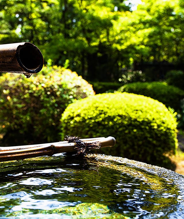 株式会社吉村造園